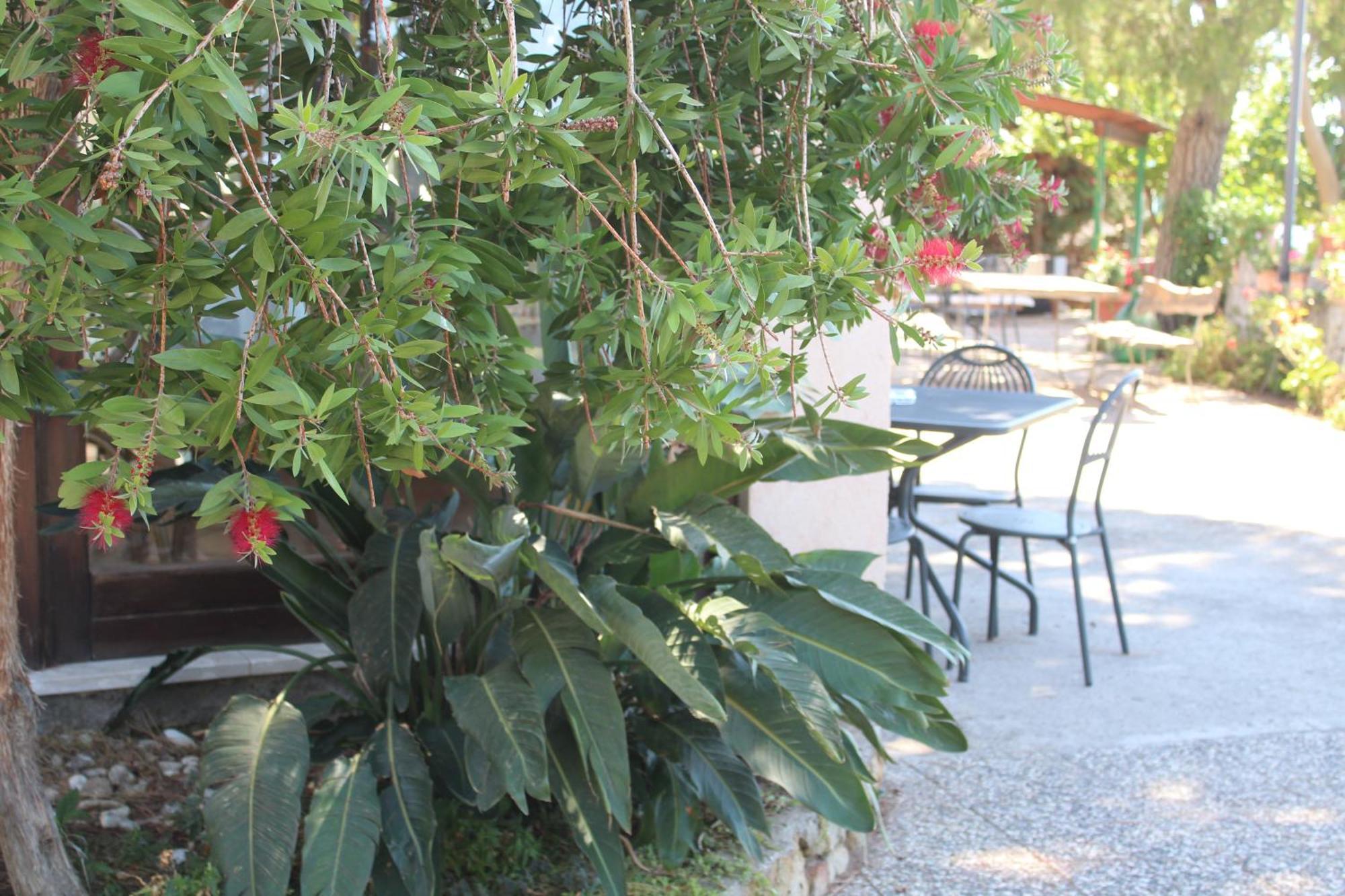 Villa Incanto B&B Caprioli Bagian luar foto