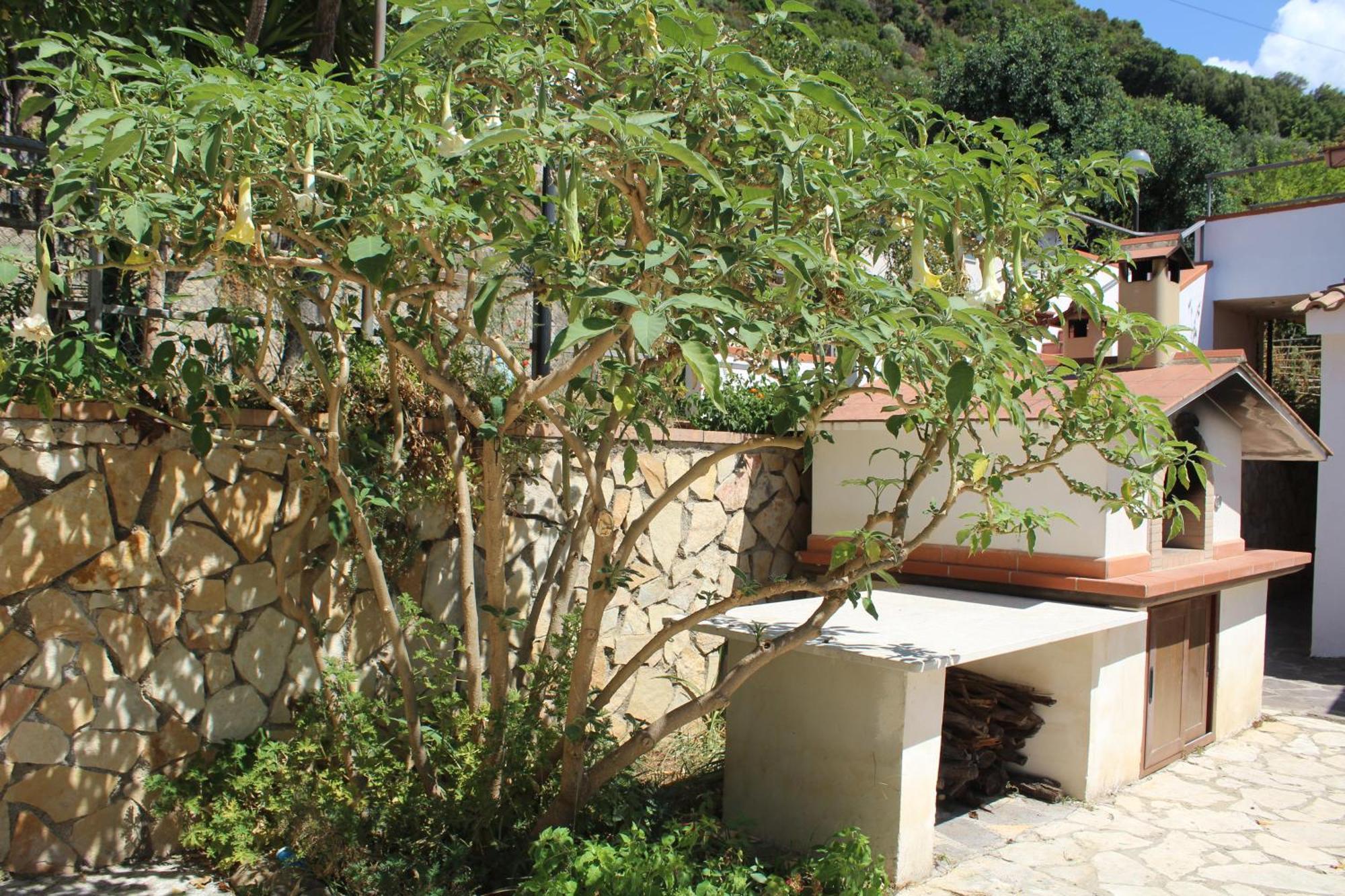 Villa Incanto B&B Caprioli Bagian luar foto